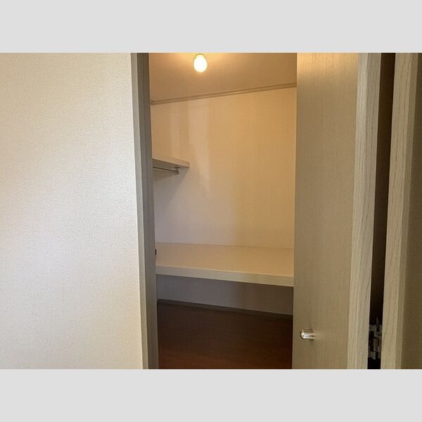 収納 (ウオークインクローゼット)