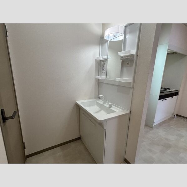 洗面所 (洗髪洗面化粧台)
