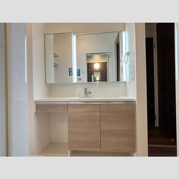 洗面所 (洗髪洗面化粧台)