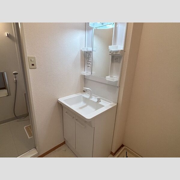 洗面所 (洗髪洗面化粧台)