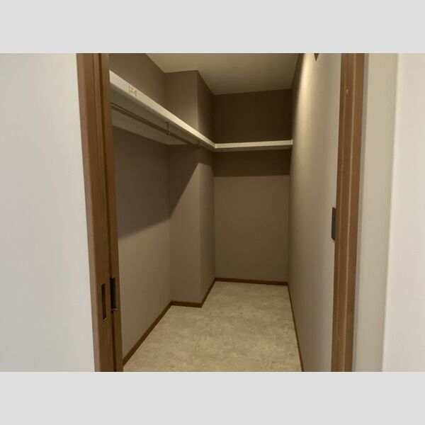 収納 (ウオークインクローゼット)