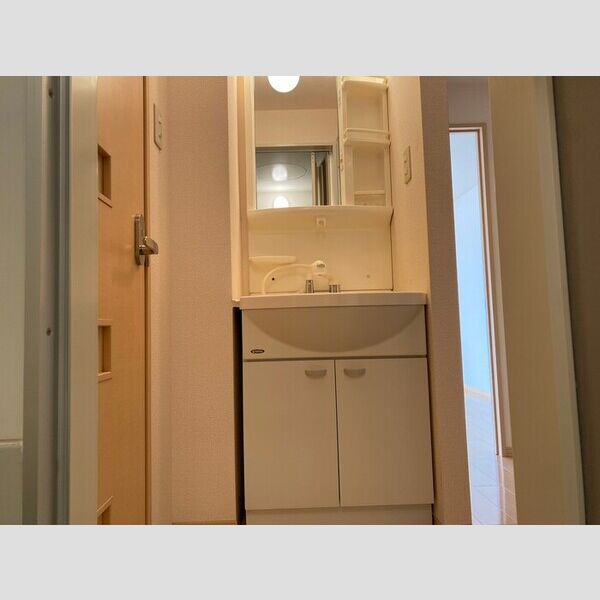 洗面所 (洗髪洗面化粧台)