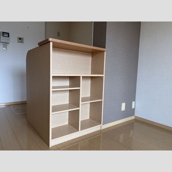 その他 (対面カウンター収納)