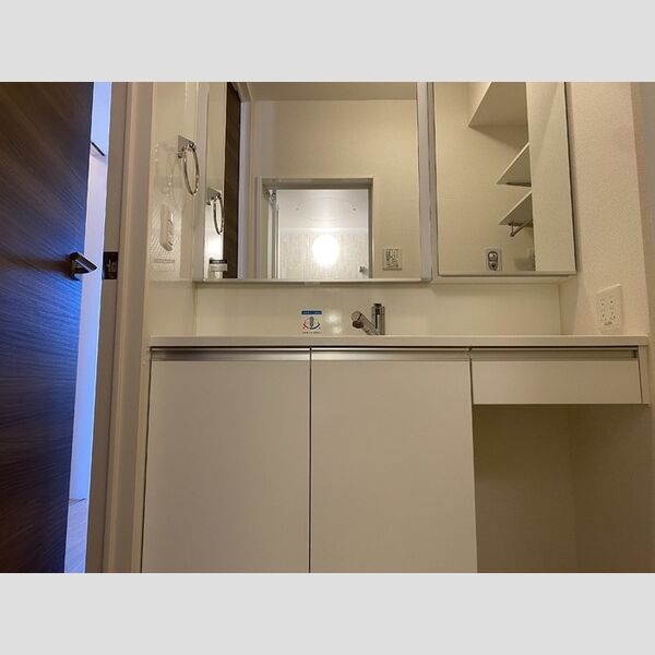 洗面所 (洗髪洗面化粧台)