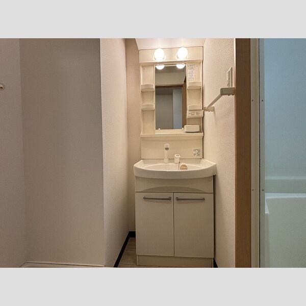 洗面所 (洗髪洗面化粧台)