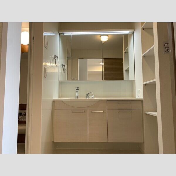 洗面所 (洗髪洗面化粧台)