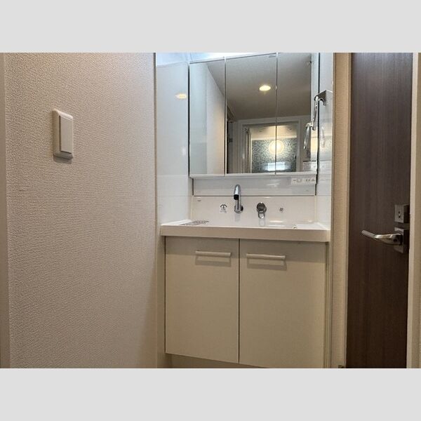 洗面所 (洗髪洗面化粧台)