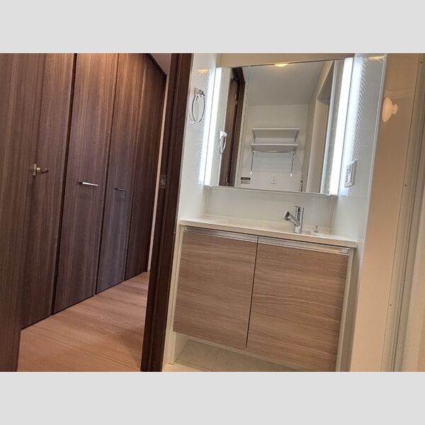 洗面所 (洗髪洗面化粧台)