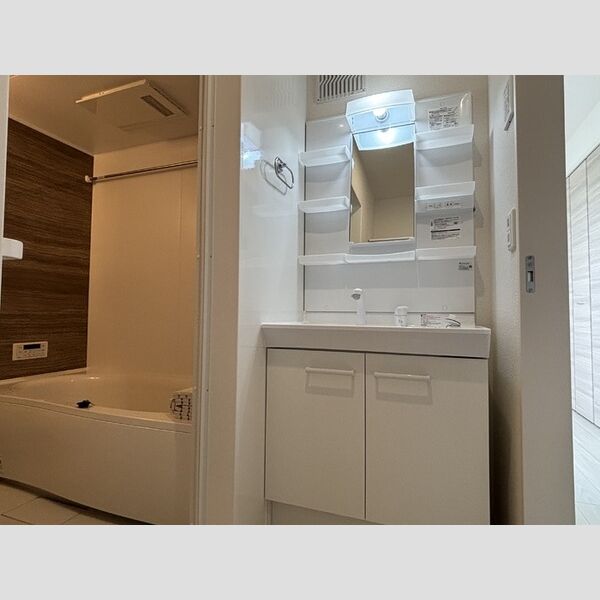 洗面所 (洗髪洗面化粧台)