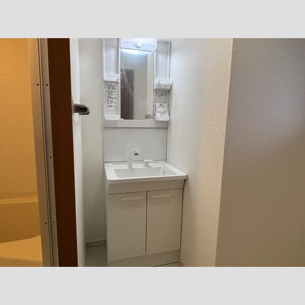 洗面所 (洗髪洗面化粧台)