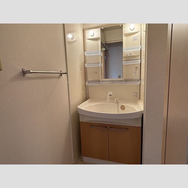 洗面所 (洗髪洗面化粧台)