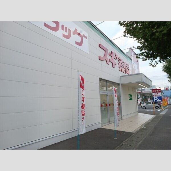 現地周辺 (ドラッグストア)