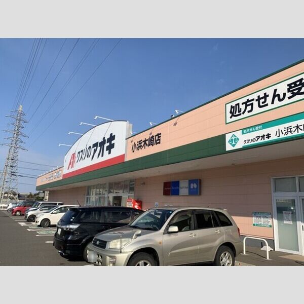 現地周辺 (ドラックショップ)