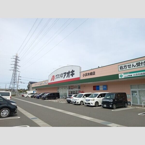 現地周辺 (ドラッグストア)