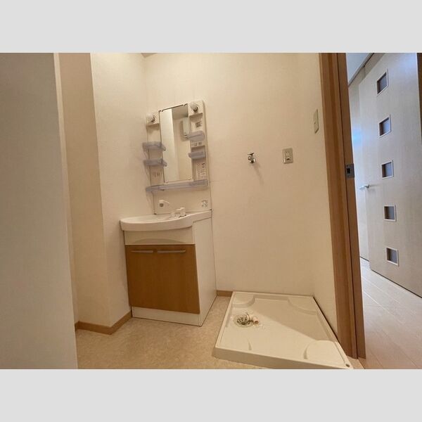 洗面所 (洗濯機置き場、洗面台)