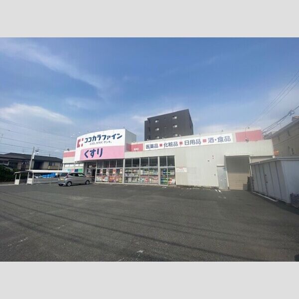 現地周辺 (ココカラファイン高道店　徒歩5分)