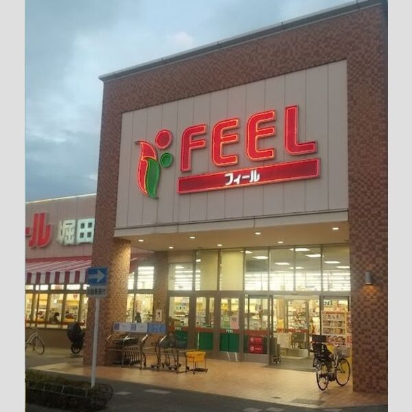 現地周辺 (フィール堀田店　251m)