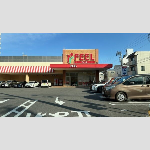 現地周辺 (フィール花の木店)