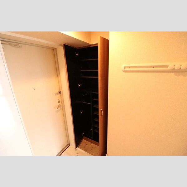 収納 (トールサイズシューズボックス)