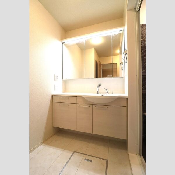 洗面所 (洗髪洗面化粧台)