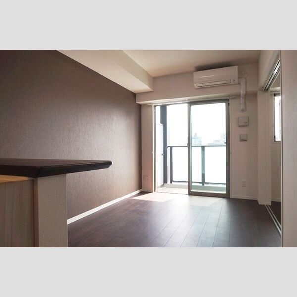 その他 (LDK南向き　エアコン　照明器具付き)