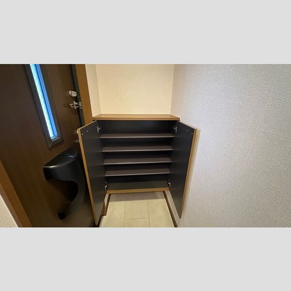 収納 (シューズボックス(カウンタータイプ))
