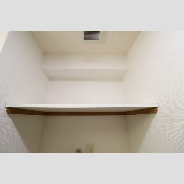 収納 (室内洗濯機置場　上部棚)