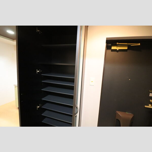 収納 (シューズボックス(トールタイプ))