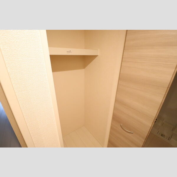 収納 (洗面室横物入)