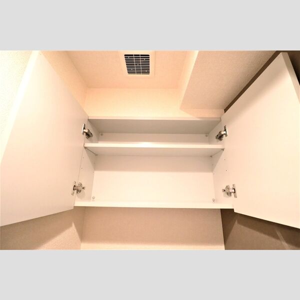 収納 (トイレ上棚)