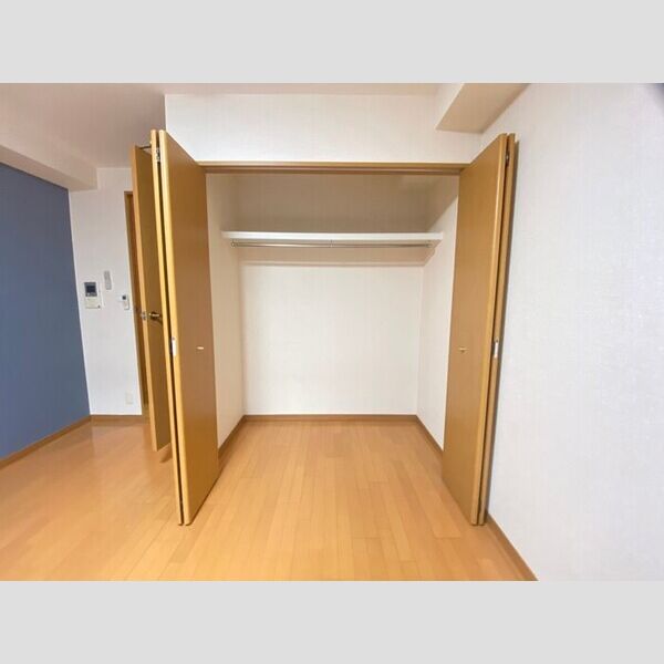収納 (クローゼット)