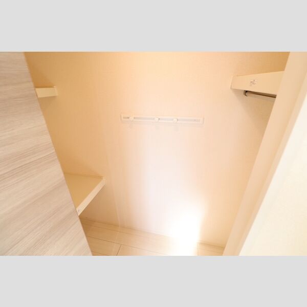 収納 (ウォークインクローゼット)