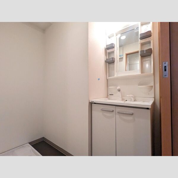 洗面所 (洗面所)