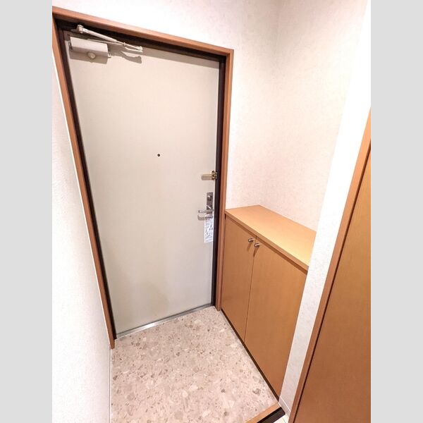 収納 (玄関　シューズボックス)
