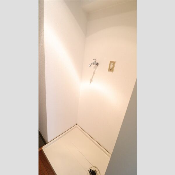 その他 (室内洗濯機置場)