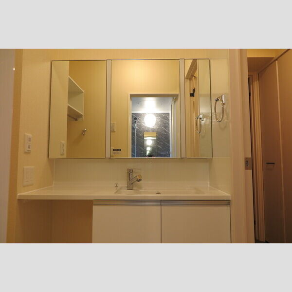 洗面所 (洗面室)