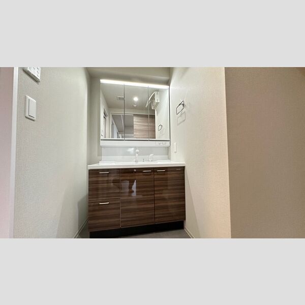 洗面所 (洗髪洗面化粧台)