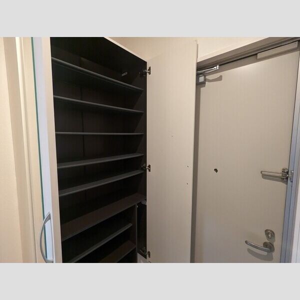 玄関 (シューズボックス)