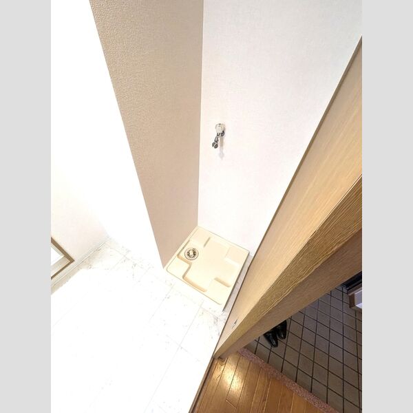 その他 (室内洗濯機置場)