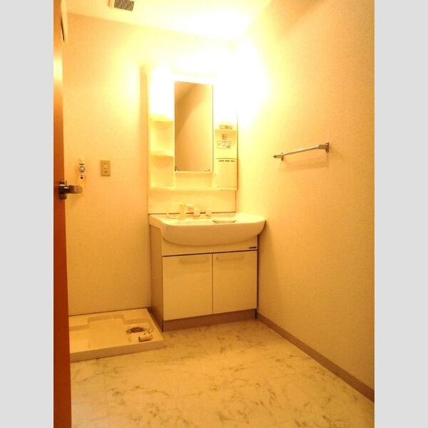 その他 (洗面室)