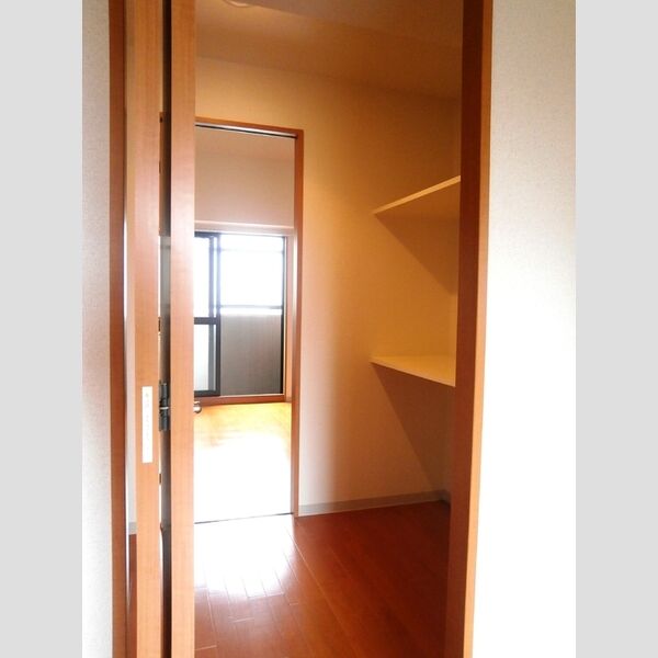 その他 (ウォールスルークローゼット(南洋室～北洋室))