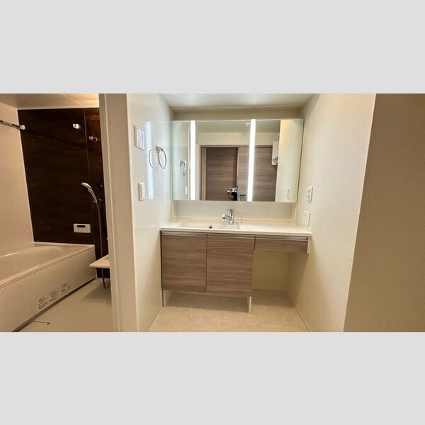 洗面所 (洗面室)