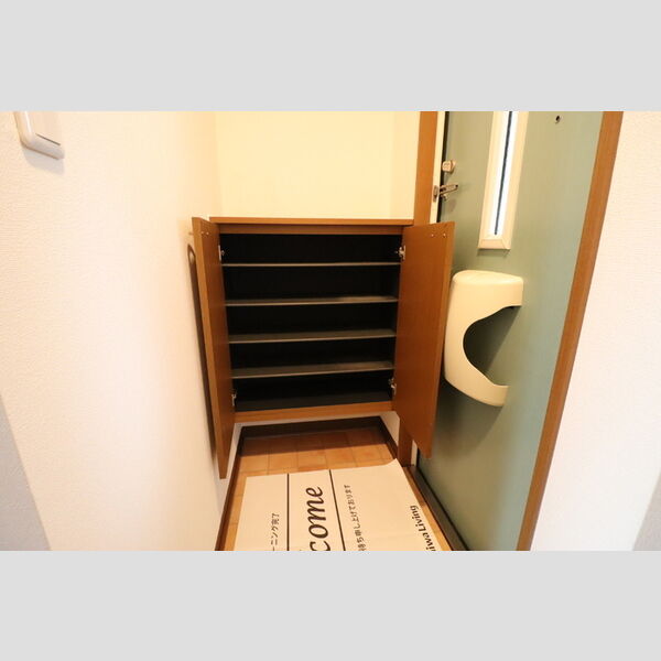 収納 (シューズボックス(カウンタータイプ))