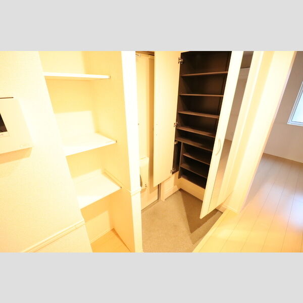 収納 (玄関収納)