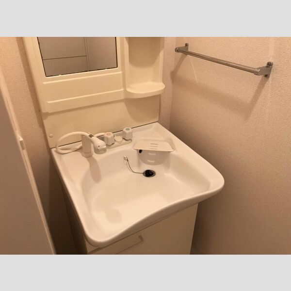 その他 (洗髪タイプ)