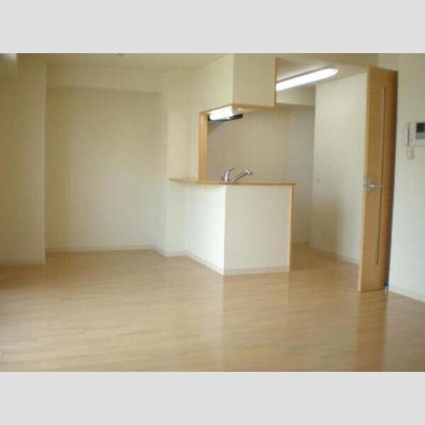 居室・リビング (LDK)