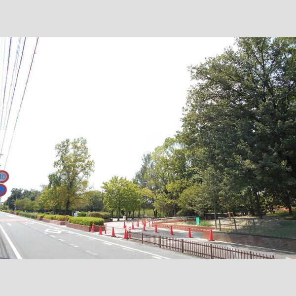 現地周辺 (杁ヶ池公園)
