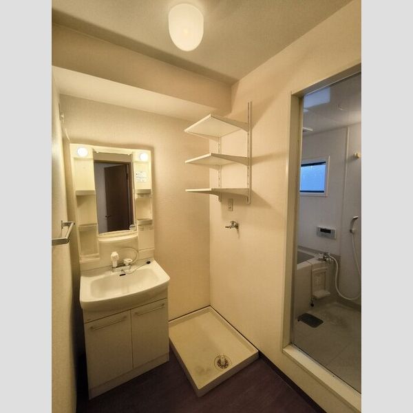 洗面所 (洗面所)