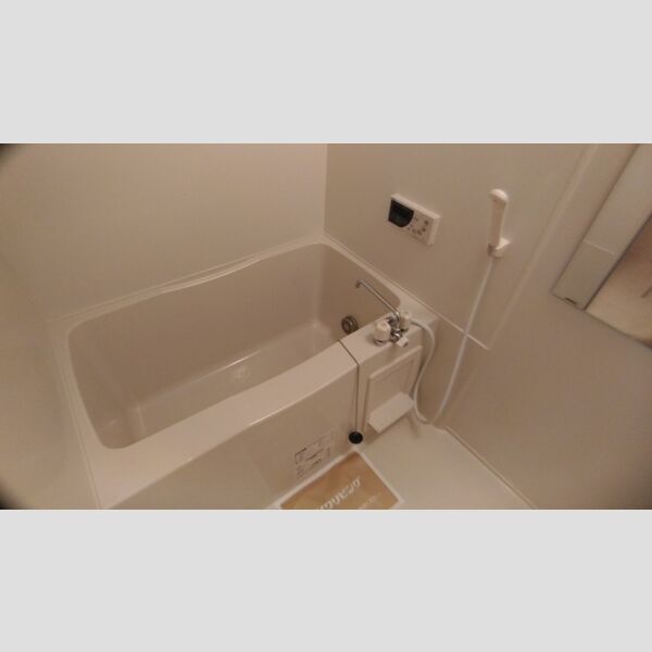 バス