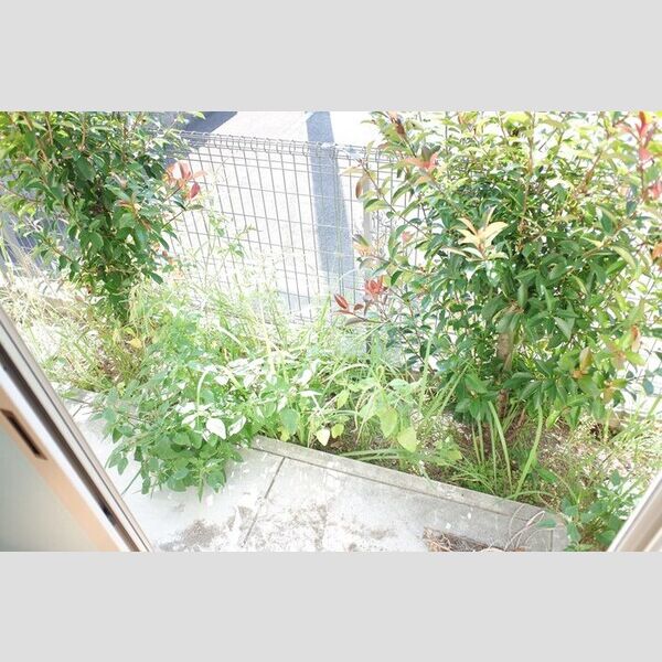 その他 (専用庭)